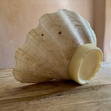 Carica l'immagine nel visualizzatore di Gallery, Antique Clam Shell