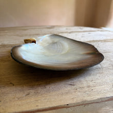 Load image into Gallery viewer, Black-Lip Pearl Oyster Shell