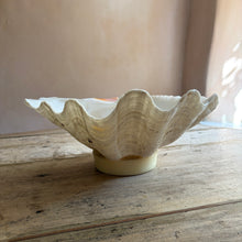 画像をギャラリービューアに読み込む, Antique Clam Shell
