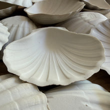 将图片加载到图库查看器，Collection of Ceramic Scallop Shells
