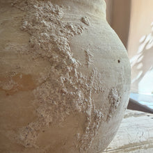 将图片加载到图库查看器，Antique Spanish Octopus Amphora

