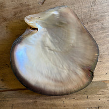 Carica l'immagine nel visualizzatore di Gallery, Black-Lip Pearl Oyster Shell
