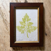 Carica l'immagine nel visualizzatore di Gallery, Nature Print in Antique Frame
