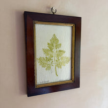 Carica l'immagine nel visualizzatore di Gallery, Nature Print in Antique Frame
